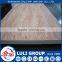 18mm bintangor plywood in sale