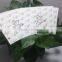 coffee paper cup fan and paper sleeve