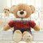 cute soft plush teddy bear