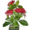 artificial flower rose plastic rose flowers guangdong