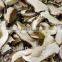 Best Quality Vacuum Fried Dried Mushroom Chips for Sales