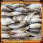 for sale fish frozen sardine