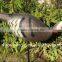 New Style Vidid XPE Foam Foldable Turkey Decoy for Hunting, Painted or Flocked Bird Hunting Decoy
