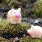 DIY Micro Fairy Garden Accessories Miniature Mini Happy resin pig & many designs for angels statues 24k gold bee figurines