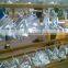 Golden Eagle Electro Plating Machine for sale China supplier