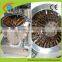 China automatic quail and chicken plucker for sale