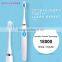 Fashionable Adult / Child Toothbrush Fashionable Ultrasonic Toothbrush Sonic Electric Toothbrush With Brush Heads HCB-202