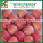 2016 New Season Juicy Grade A selected fresh apples for sale
