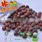 Frozen Roasted Chestnut In Shell---best taste and hot selling