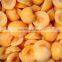 new crop Chinese Frozen IQF apricot halves