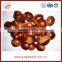Tasty sweet Chinese qianxi fresh chestnut