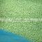 New season frozen soybean meal belong to 2015