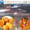 stianless steel peach pitting machine/peach stoning machine/fruit pitter