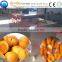 Automatic apricot cutting and pitting machine/fruit pulper machine