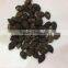Hybrid seeds F1 seed luffa vegetable seeds