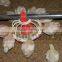 Easy Cleaning Poultry Farm Equipment Automatic Feeding System/automatic Feeder for Shed
