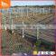 Cheap fence horse fence Anping county cheap cattle yard fence