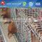 hot galvinized metal poultry chicken cages