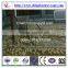 Poultry Chicken Farming of Broilers