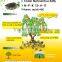 Powder Water-soluble Fertilizer With 4% Humic Acid 13-4-17