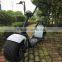 citycoco scooter with Ce