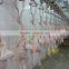 Poultry Slaughter Processing Line/chicken Slaughterhouse Equipment/Poultry Processing Line