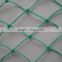 HDPE square anti bird net to catch bird for thailand customers