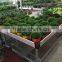 qingdao garden bed for flower