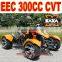 ATV China 300cc EEC
