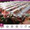 0.8-2.0mm polycarbonate corrugated sheet /pc roofing sheet/polycarbonate waved sheet