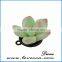 Can Custom Polymer Clay Succulent Jewelry Miniature Plant Wedding Succulent Jewelry