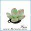 New in market Special Simulation Succulent jewelry Polymer clay flower Succulent pendant