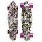 HFCW05 wholesale New Product fish skateboard PP plastic four wheel skateboard