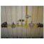 Gas Pressure Gauge