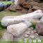 Life Size Museum Dinosaur Fossil Bones for Sale