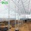 Top Quality Tunnel Plastic Greenhouse Film Agriculture