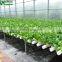 China Wholesale PC Hollow Sun Sheet Polycarbonate Plastic Hydroponics Greenhouse