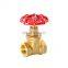 3/4 inch DN20 pn16 female thread NPT brass gate valve 200 WOG