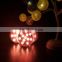 12 LEDs Multi-color Remote control Vase Base Light 10cm waterproof Submersible LED Lights with Battery Powered