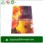 customzied pp L shape clear folder a4 size with CMYK printing