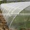HDPE 40x25mesh Anti Insect net for Agricultural Greenhouse