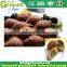 stainless steel falafel encrusting making machine