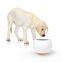New Pet Slow Feeder Bowl Interactive Wobbler Toy Dish for Dogs & Cats Mental Stimulation Anti-Gulp Puzzle Bowl with Non-Slip Base