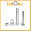 Ss Nut Bolt Screw M8-M30 Photovoltaic Wind Power Special Bolt 8.8 Grade Electric Bike Parts and Accessories