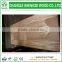 door skin with different wood veneer