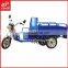 India market hot sale 900w Adult Electric Tricycle