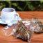 Professional design service wholesale cheap vacuum bags