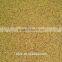 hot sale high yield forage seeds for sale