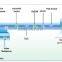 GPON 1GE ONT