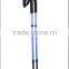 Walking Stick